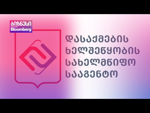 დასაქმების სააგენტოს წელს არავინ დაუსაქმებია, თუმცა ბიუჯეტიდან ₾11 მლნ მიიღო